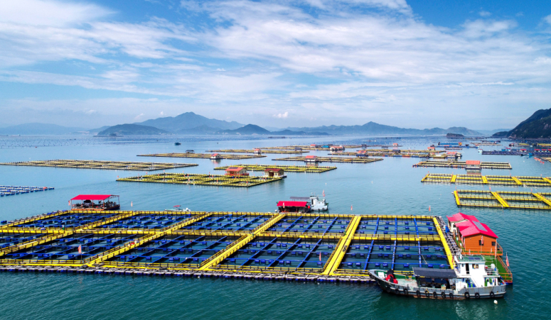 十大网赌靠谱网址平台召开2026年一季度“开门红”工作调度会议